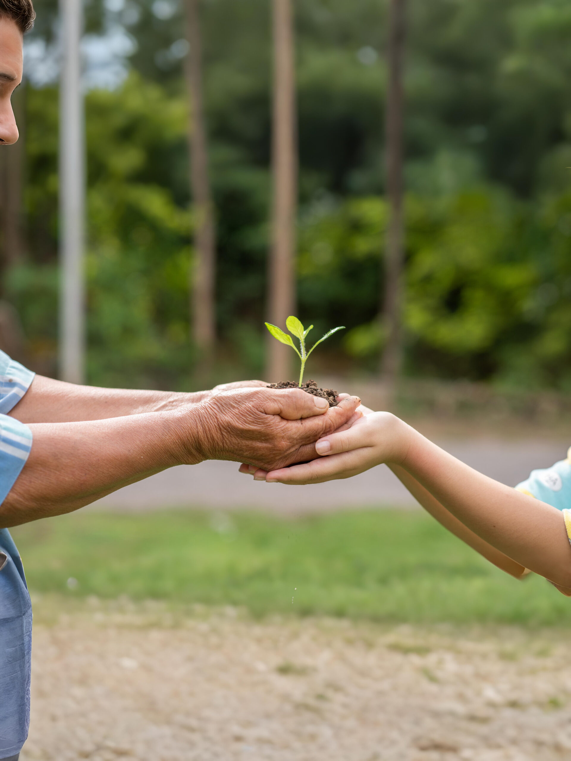 Ayodhya Dham Charity Campaign
